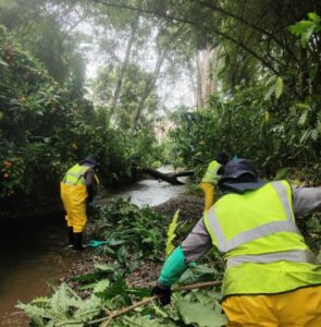 EEPP de La Ceja y Cornare